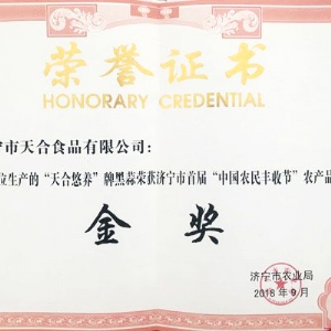 资质荣誉